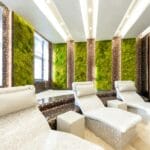 Nowoczesne spa z podgrzewanymi leżankami i zieloną ścianą z roślin