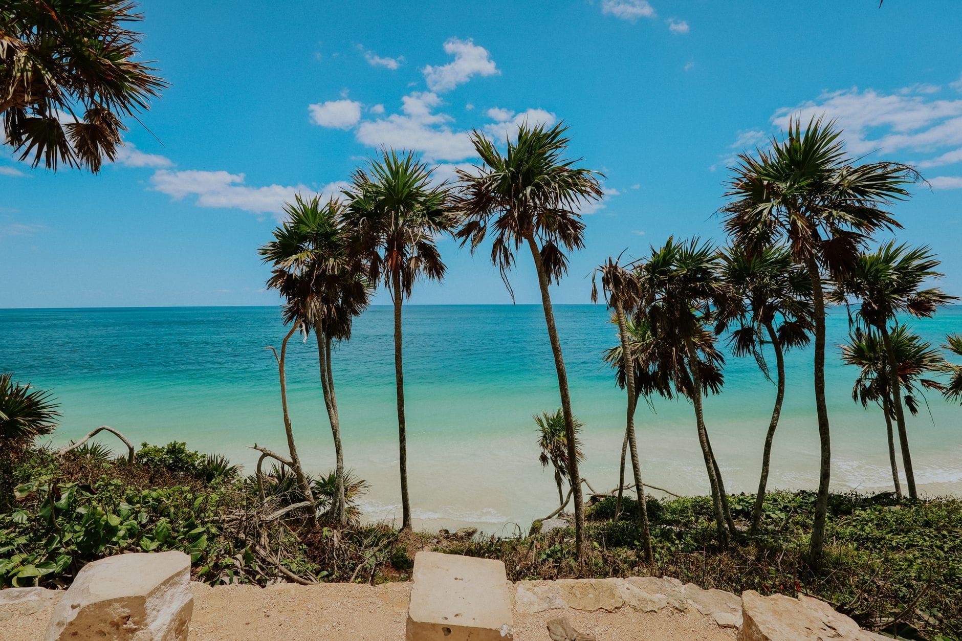 Plaża w Tulum z palmami i turkusowym morzem w słoneczny dzień